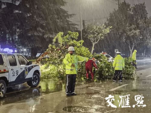 江蘇多地交警推出便民停車措施 商場樓頂免費(fèi)與道路兩側(cè)有序停放